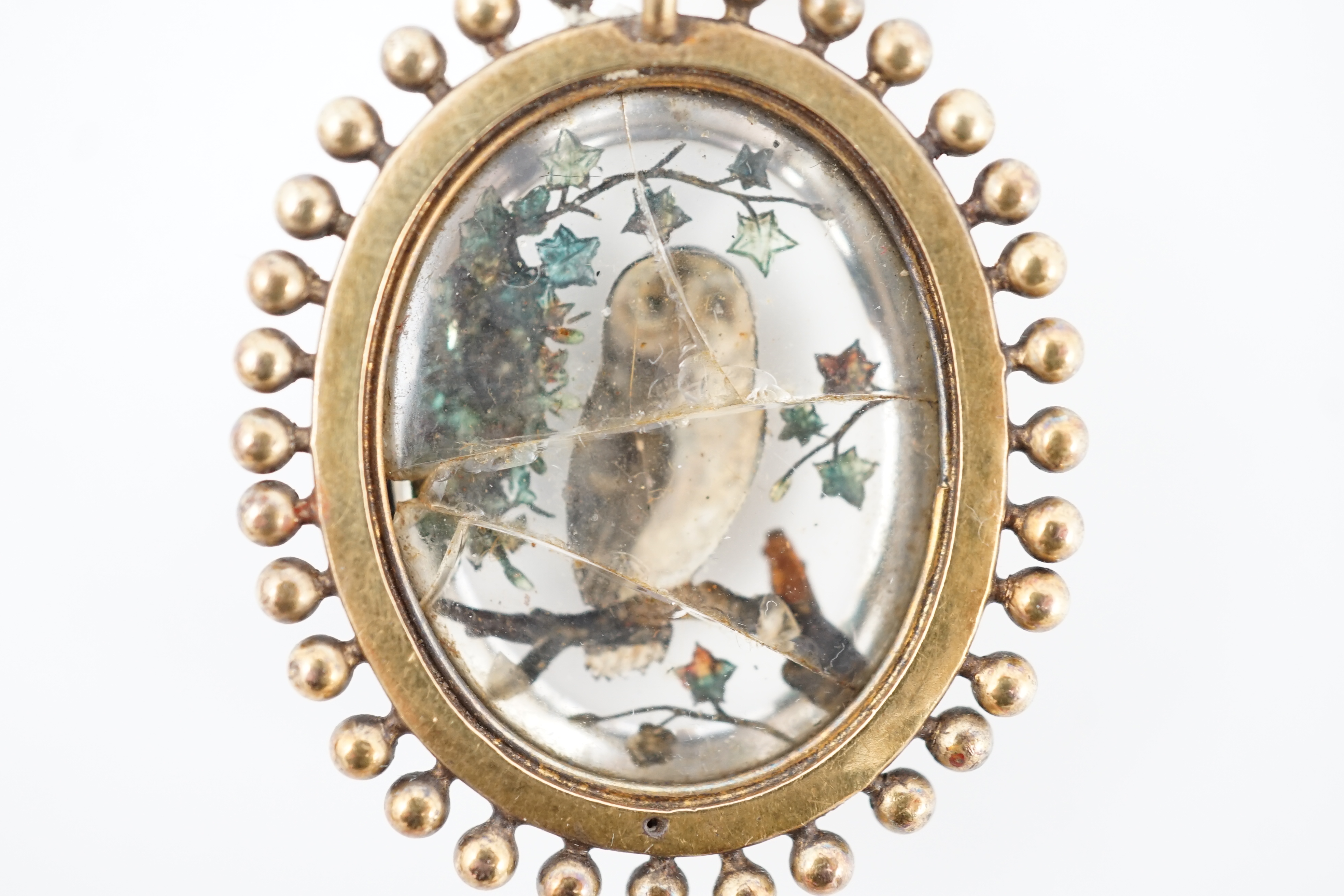 A Victorian yellow metal mounted Essex crystal oval pendant, depicting an owl upon a branch, amid foliage